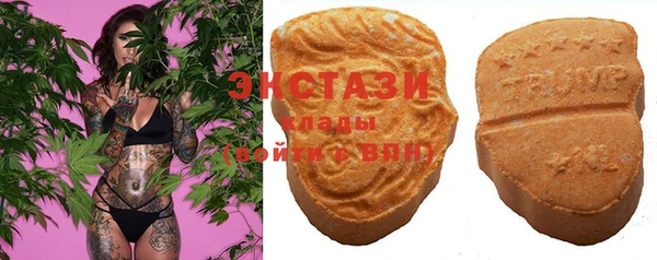 крисы Абаза