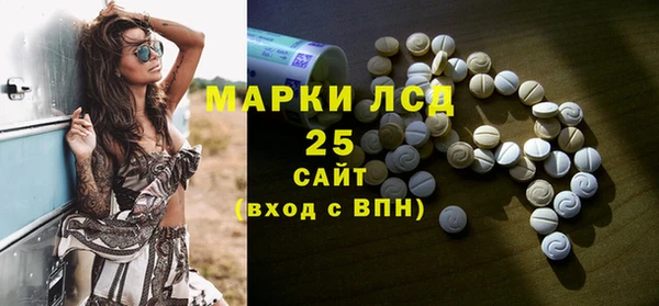 крисы Абаза