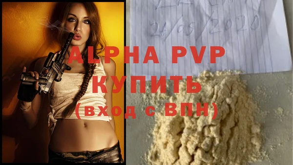 крисы Абаза